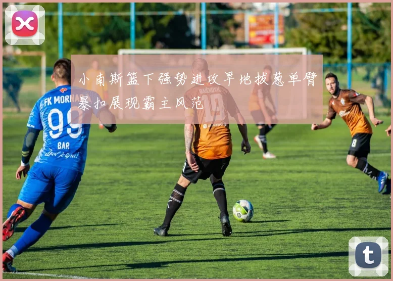 小南斯篮下强势进攻旱地拔葱单臂暴扣展现霸主风范