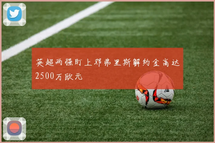 英超两强盯上邓弗里斯解约金高达2500万欧元