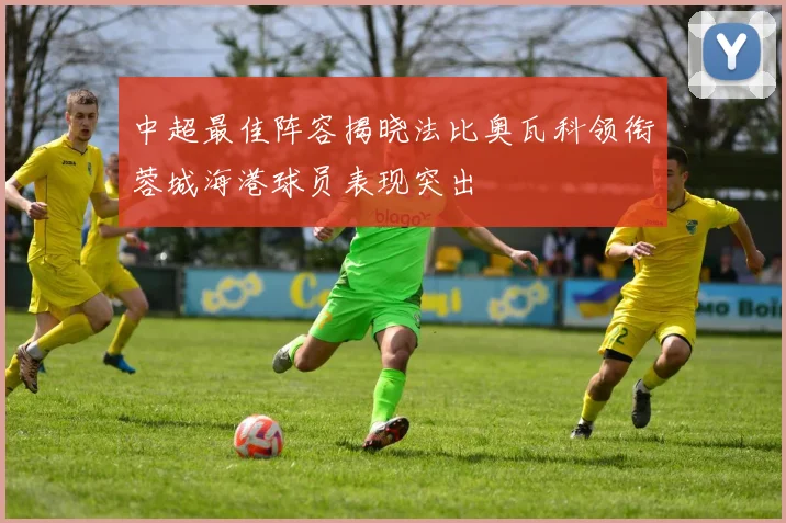 中超最佳阵容揭晓法比奥瓦科领衔蓉城海港球员表现突出