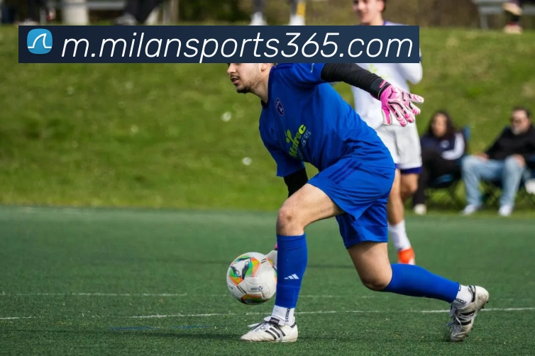 米兰体育APP 封面图